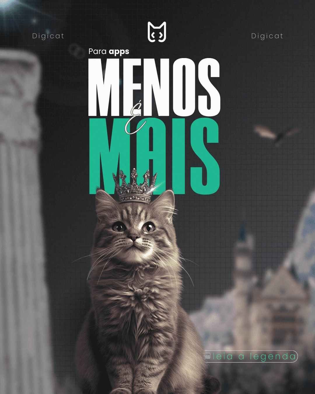 Menos é mais Digicat (portólio)
